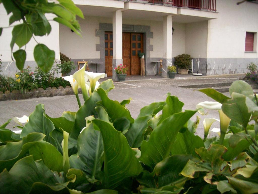 Agroturismo Donibane Guest House Itziar Exterior photo